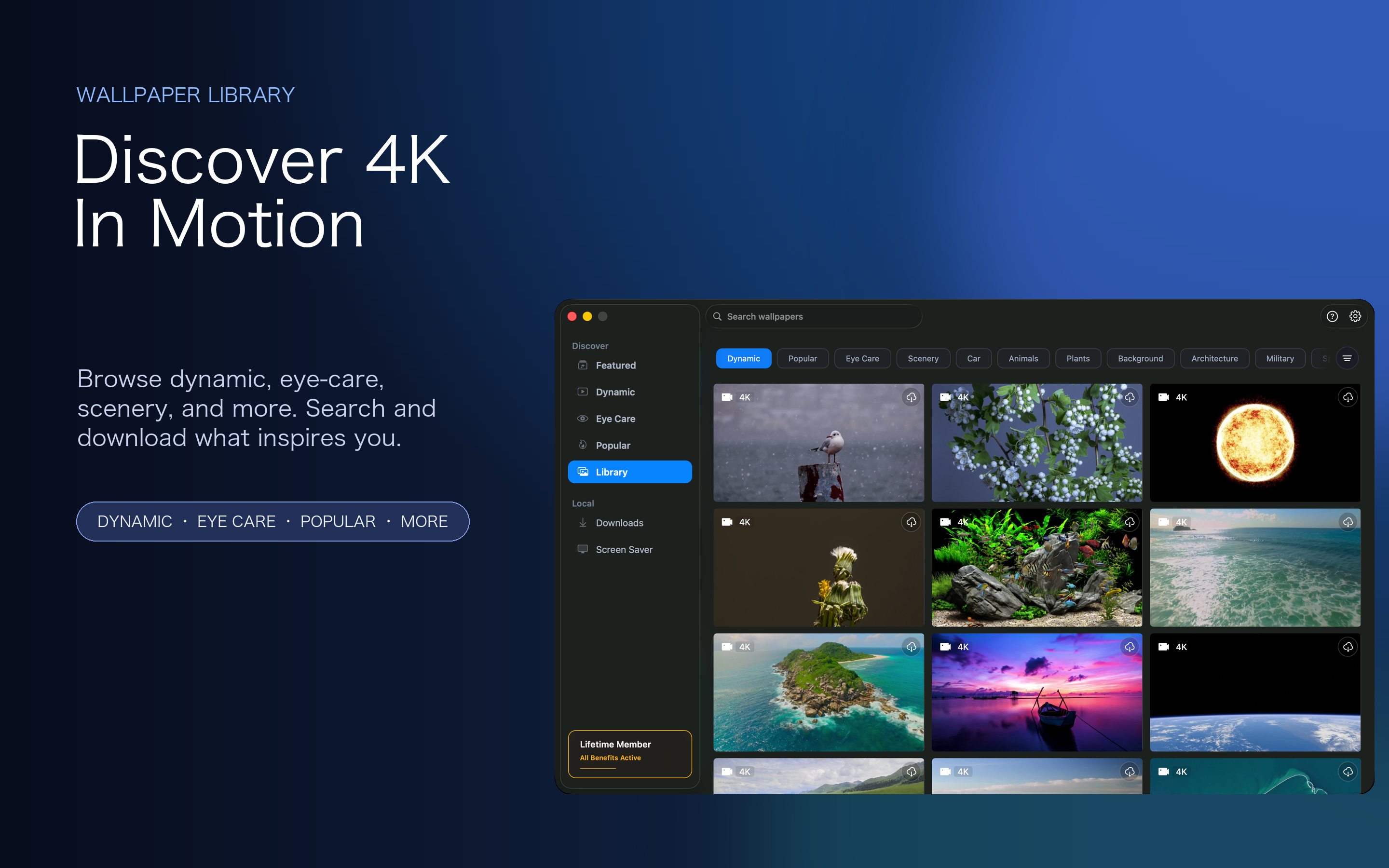 iWallpaper dynamic wallpaper library