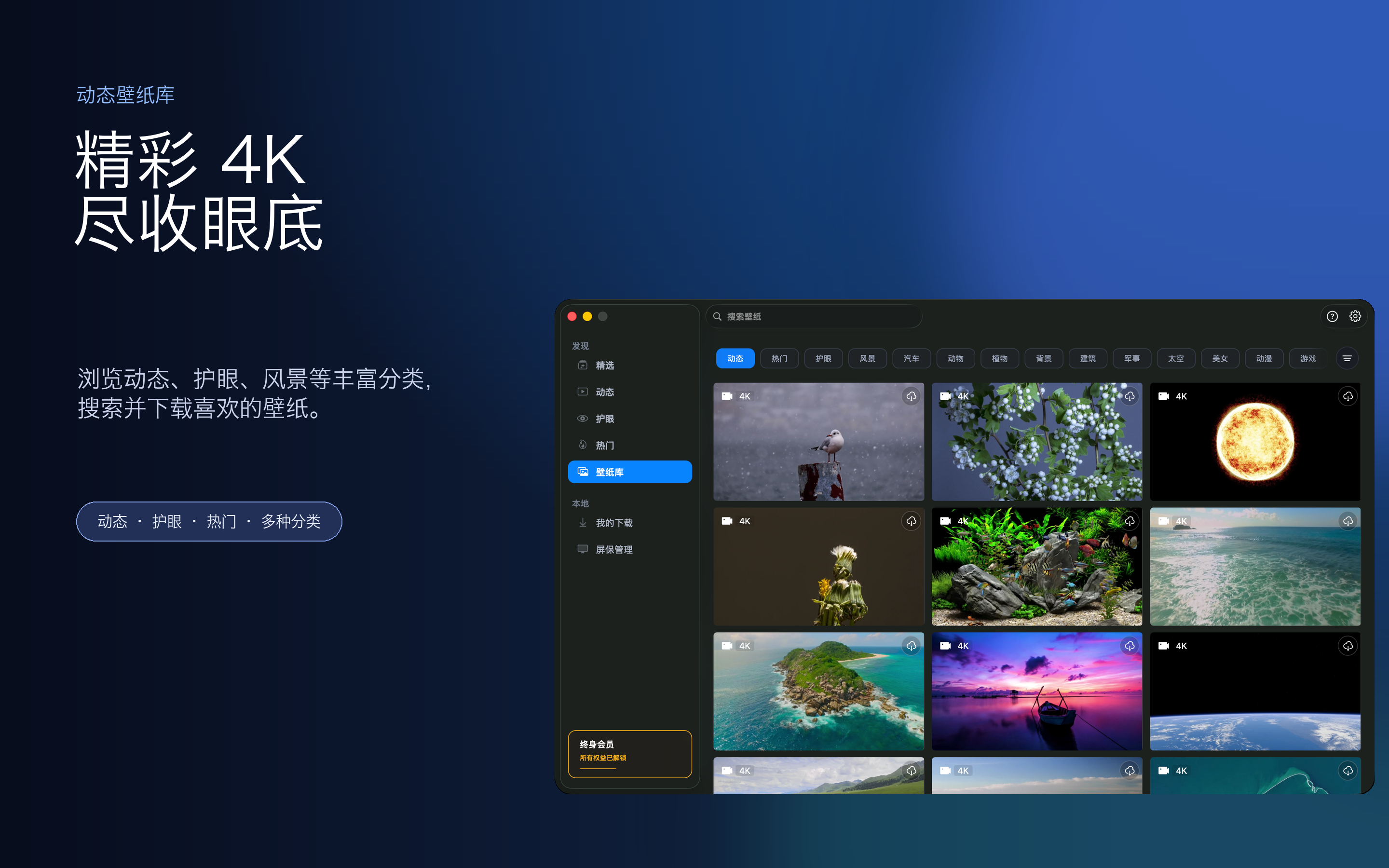 iWallpaper 动态壁纸库界面