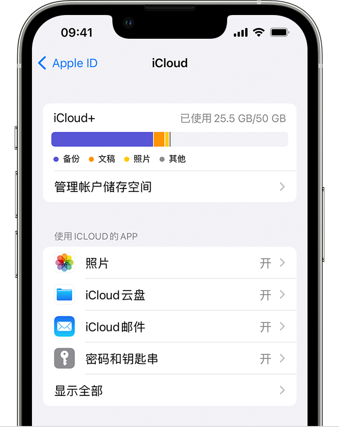 选取要在 iPhone 上与 iCloud 配合使用的 App